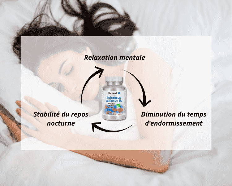 Extrait d'Eschscholzia californica BIO* standardisé à 0,5% d’alcaloïdes.